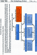 Material Thema Schöpfung - Schema